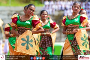 12087116_10154299765544251_9066052651768425117_o